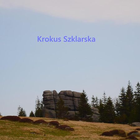 Apartament Krokus Szklarska Szklarska Poręba Exterior foto