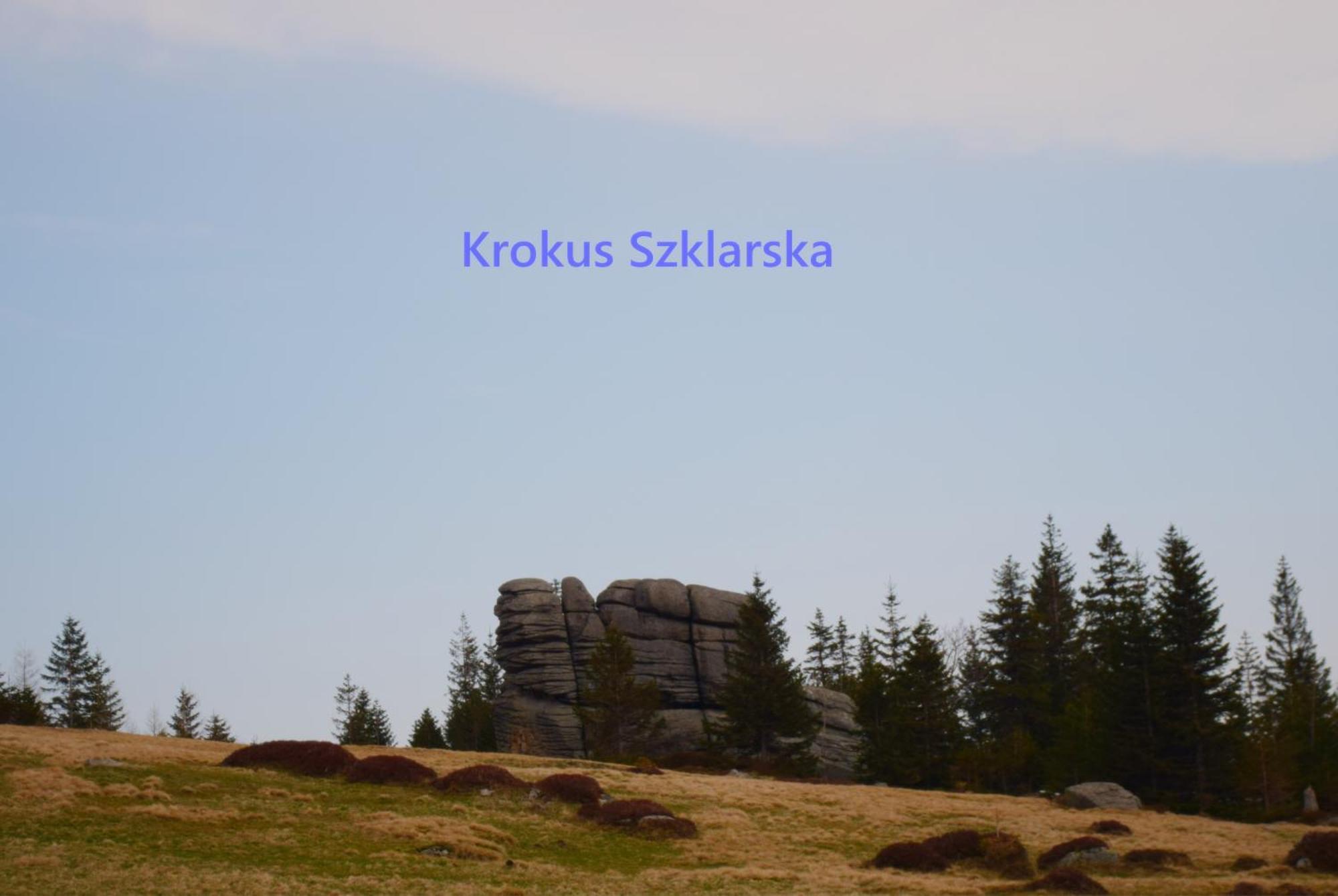 Apartament Krokus Szklarska Szklarska Poręba Exterior foto