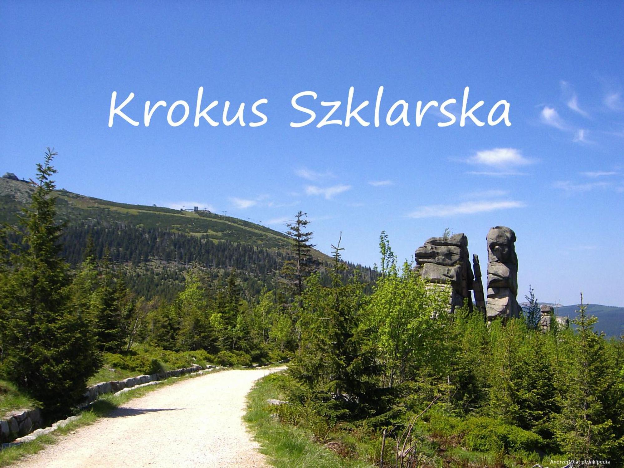 Apartament Krokus Szklarska Szklarska Poręba Exterior foto